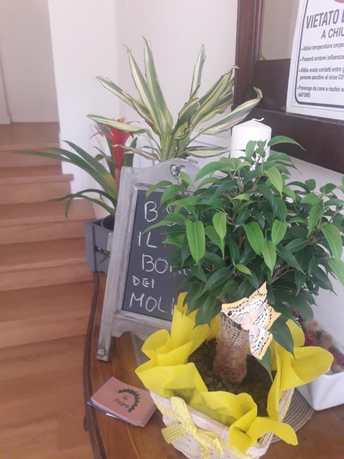 Il Borgo Dei Molini Panzió Torreglia Kültér fotó