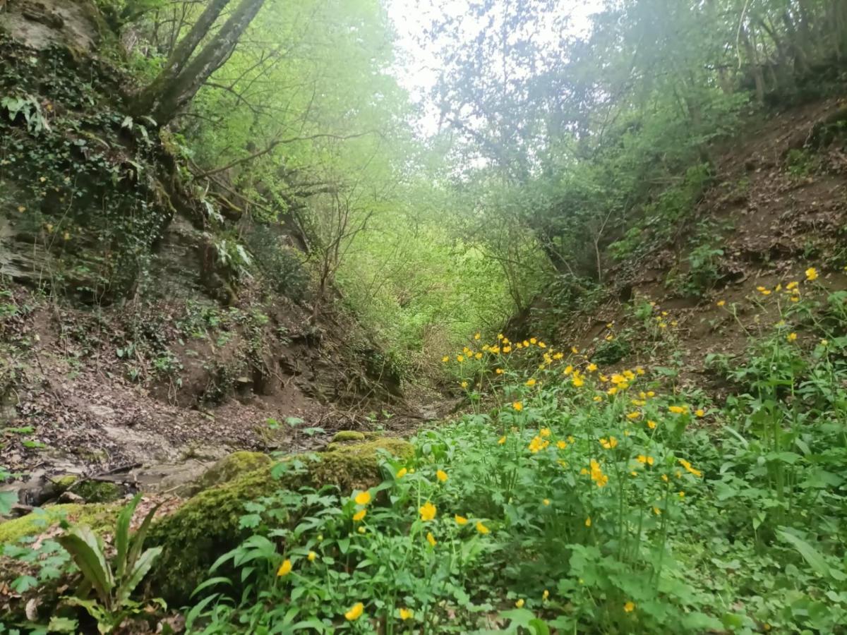 Il Borgo Dei Molini Panzió Torreglia Kültér fotó
